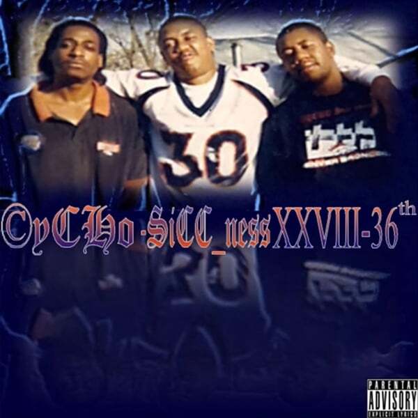 Cover art for XX VIII-36th